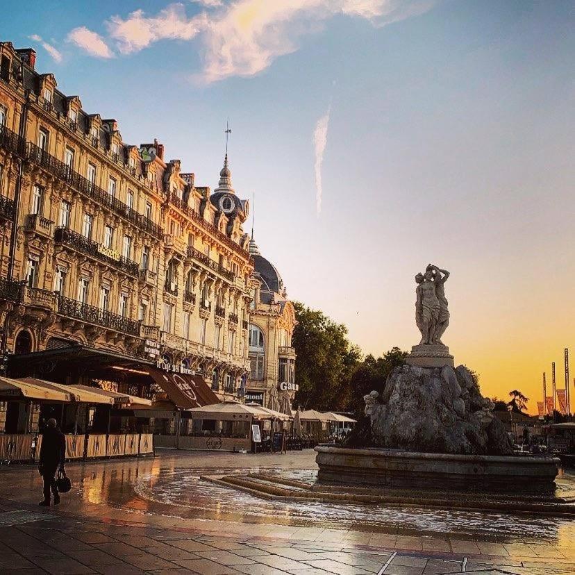 Le Cocon Montpellierain By Smartappart Montpellierain - Jardin Proche Corum מראה חיצוני תמונה
